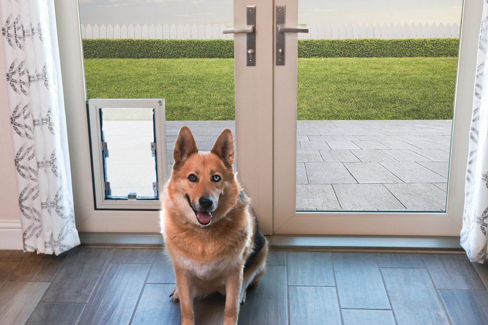 OC Window Experts-Perks Of Patio Doors with Pet Doors