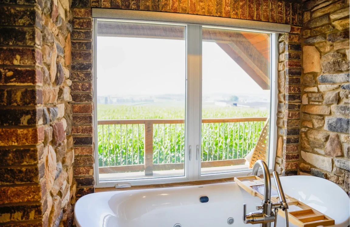 ProVia Windows